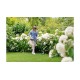 Bosch Easy GrassCut 18V-230 cordless grass shear