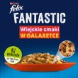 Felix Fantastic country flavors in jelly - Wet food for cats - 24x 85g Felix Fantastic country flavors in jelly - Wet food for cats - 24x 85g