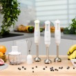 Zelmer ZHB4562L Immersion blender Pulsar 800 W Lime