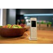 Fon FRITZ! C6 DECT telephone Caller ID White