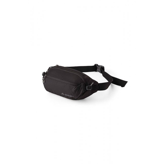 Gregory Nano Waistpack - optic black