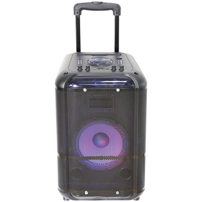 Denver TSP-306 Public Address (PA) speaker