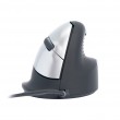 R-Go Tools Ergonomic mouse R-Go HE Break with break software, medium (hand size 165-185 mm), right-handed, Wired, black