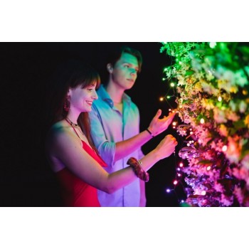 Twinkly Strings intelligent lighting string (multicolour + white edition)