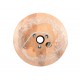 Extralink Twisted pair CAT6A FTP (F/FTP) V2 Indoor 500M