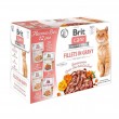 BRIT Care fillets in gravy box wet cat food 12x85g