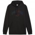 Puma Ess+ Logo LAB Gradient Hoodie FL black 681775 01 L