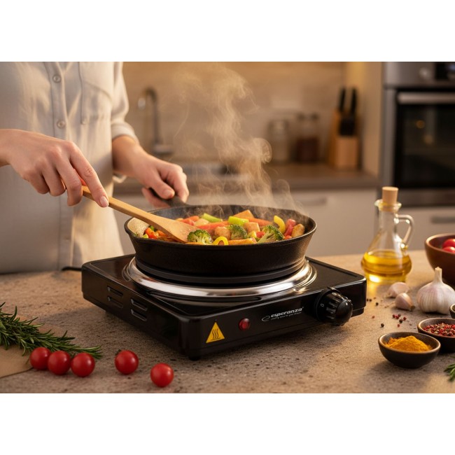 Esperanza EKH002K hob Black Sealed plate 1 zone(s)
