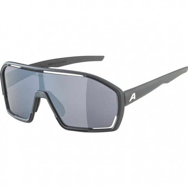 Alpina Bonifire Sunglasses cat. 3 Grey Alpina Bonifire Sunglasses cat. 3 Grey