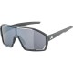 Alpina Bonifire Sunglasses cat. 3 Grey Alpina Bonifire Sunglasses cat. 3 Grey