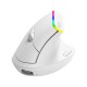 Delux M618DB mouse Office Right-hand RF Wireless + Bluetooth Optical 4000 DPI Delux M618DB mouse Office Right-hand RF Wireless + Bluetooth Optical 4000 DPI