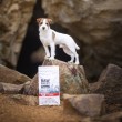 VETEXPERT Raw Paleo Ultra Mini Adult Beef - dry dog food - 2 kg