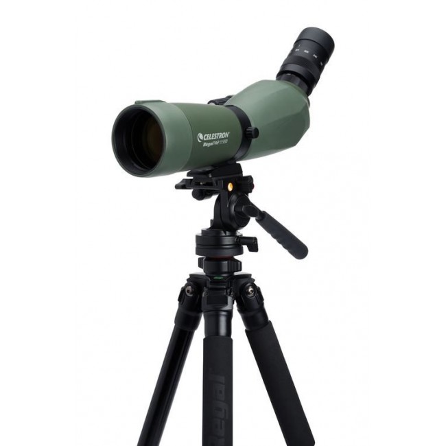 Celestron Regal M2 65ED spotting scope 48x BaK-4 Black, Green