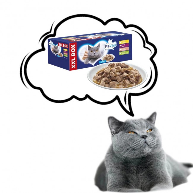 PREVITAL XXL BOX Flavor Mix with Chicken, Veal, Salmon, and Liver in Gravy - Wet Cat Food - 48 x 100g PREVITAL XXL BOX Flavor Mix with Chicken, Veal, Salmon, and Liver in Gravy - Wet Cat Food - 48 x 100g