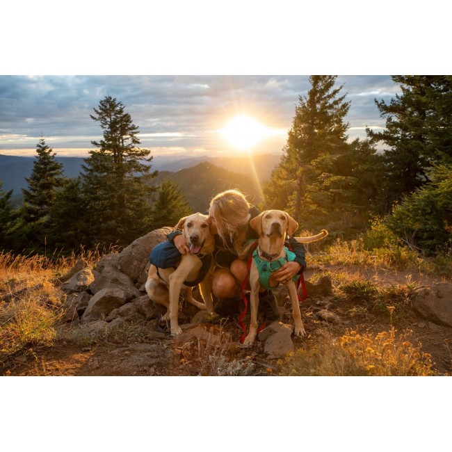 Ruffwear Front Range XS Blue Polyester