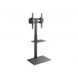 Gembird TVS-55T-02 TV floor stand, 32