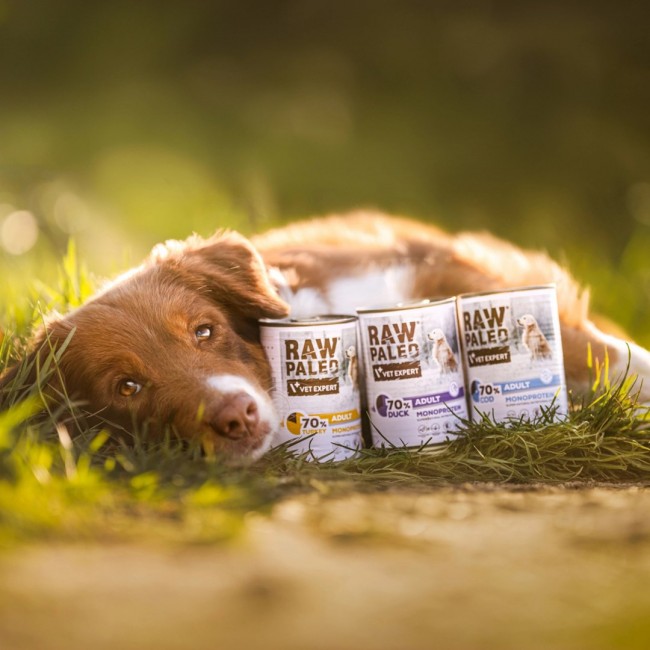 RAW PALEO Adult Monoprotein Duck - wet dog food - 400 g RAW PALEO Adult Monoprotein Duck - wet dog food - 400 g