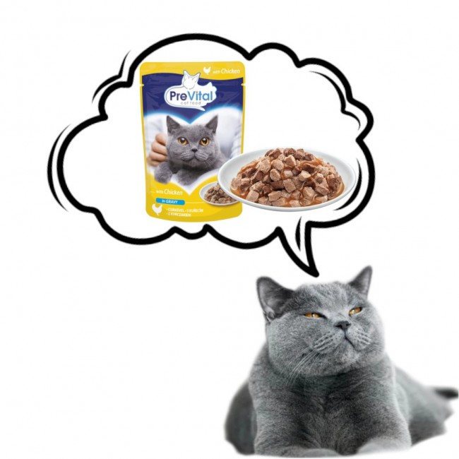 PREVITAL Chicken in gravy - wet cat food - 100g