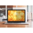 3M BP145W1B display privacy filter 36.8 cm (14.5