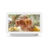 Google Nest Hub 2 Chalk 7