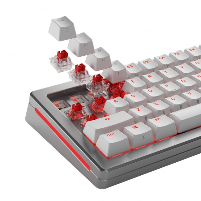 Glorious Gaming Glorious Fox HE Switches - 36 pieces Glorious Gaming Glorious Fox HE Switches - 36 pieces