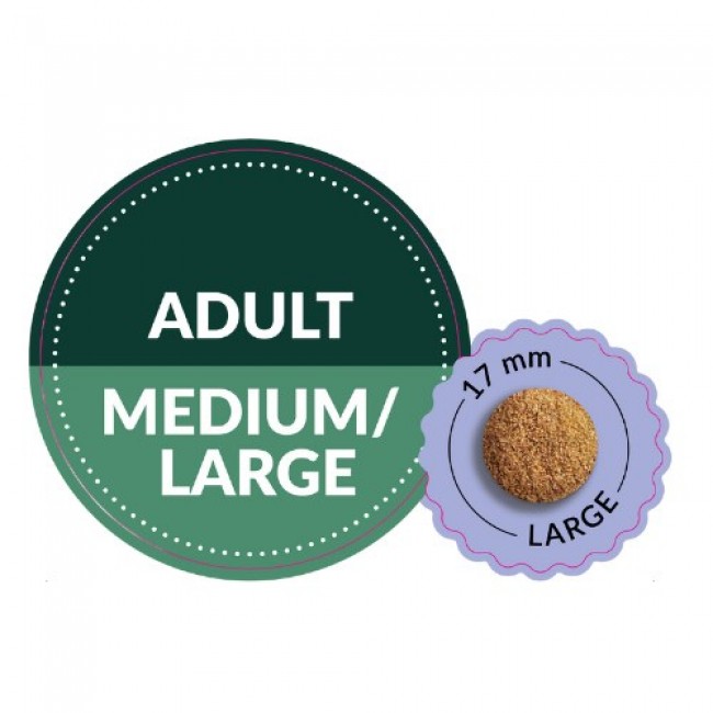 ADDVENA Taste Sensations Adult Medium/Large Turkey - dry dog food - 10kg