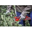 Einhell GP-LS 18/28 Li T BL-Solo pruning shears Bypass Black, Red