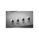Electrolux LFC316X Wall-mounted Stainless steel 420 m /h