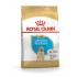 ROYAL CANIN SHN Breed Labrador Junior dry dog food - 12 kg