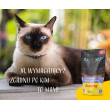 JOSERA Chicken fillet with veal - wet cat food - 70 g JOSERA Chicken fillet with veal - wet cat food - 70 g