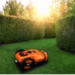 NEO tools 04-621 lawn mower
