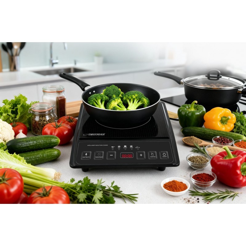 Esperanza EKH011 Black induction cooker
