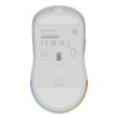 GENESIS Zircon XIII mouse Gaming Ambidextrous RF Wireless + USB Type-C Optical 26000 DPI