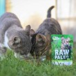 VETEXPERT Raw Paleo Adult Cat Sterilised Game - wet cat food - 100 g