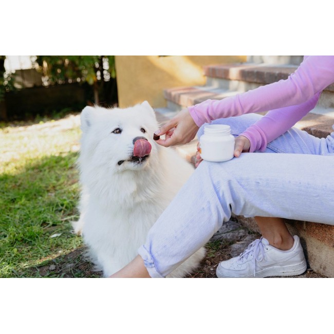 VIRBAC Movoflex S Joints - supplements for dogs - 30 pcs