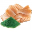 SHELMA with cod in sauce - wet cat food - 85g SHELMA with cod in sauce - wet cat food - 85g
