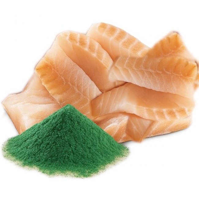 SHELMA with cod in sauce - wet cat food - 85g SHELMA with cod in sauce - wet cat food - 85g