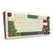 REDRAGON K681CGC-RGB-PRO Cyrus keyboard USB + RF Wireless + Bluetooth White, Green
