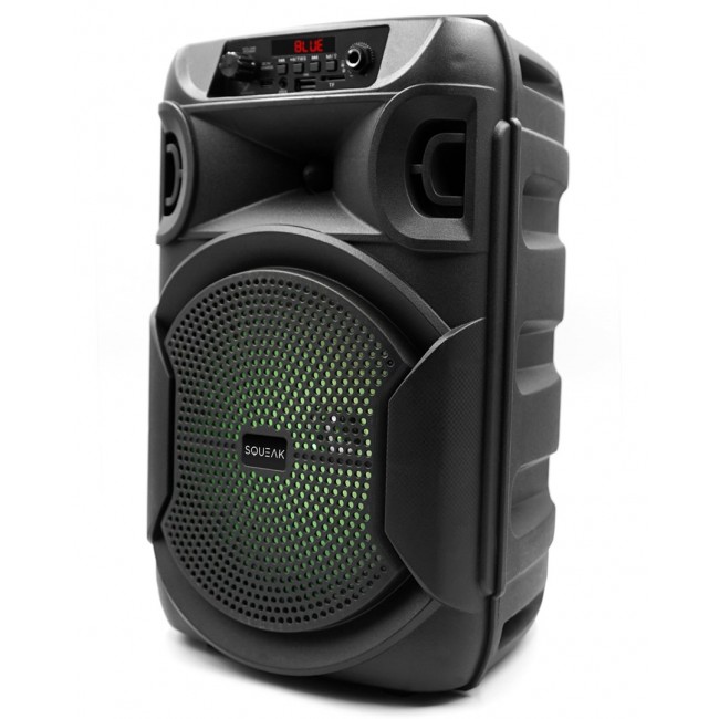 SQUEAK KARAOKE SPEAKER PULSETOWER BT 5.3 + EDR SQ1006