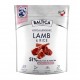 BALTICA Nutraceutic Hypoallergenic S Lamb with rice - dry dog food - 1kg