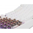 GENESIS Thor 230 TKL keyboard Gaming USB + RF Wireless + Bluetooth QWERTY White GENESIS Thor 230 TKL keyboard Gaming USB + RF Wireless + Bluetooth QWERTY White