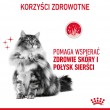 ROYAL CANIN Hair&Skin Care - dry cat food - 4kg