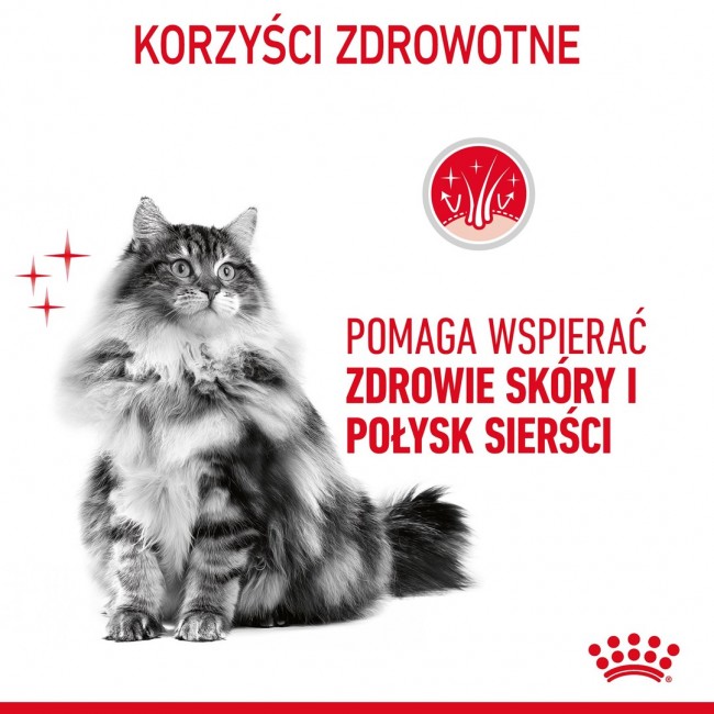 Royal Canin Hair & Skin Care cats dry food 4 kg Adult Royal Canin Hair & Skin Care cats dry food 4 kg Adult