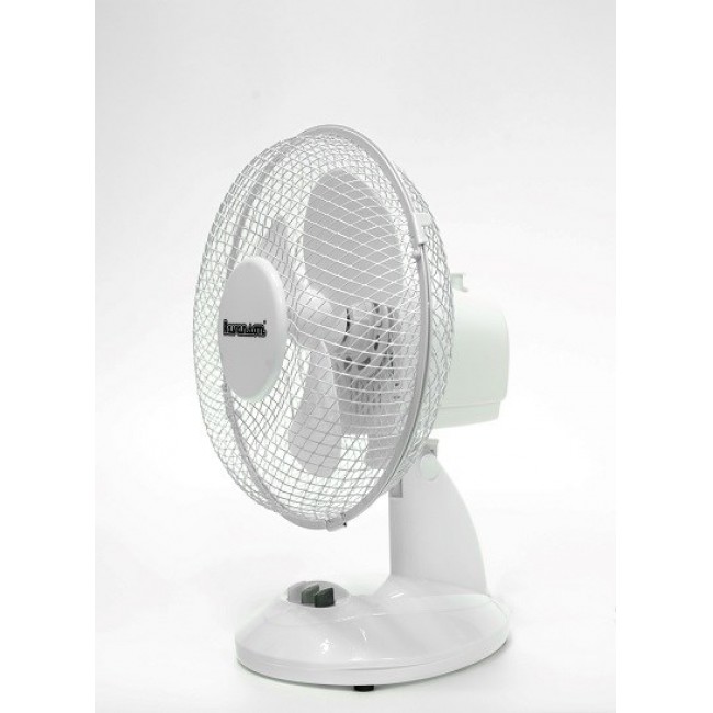 Desktop Fan Ravanson WT-1023 (white)