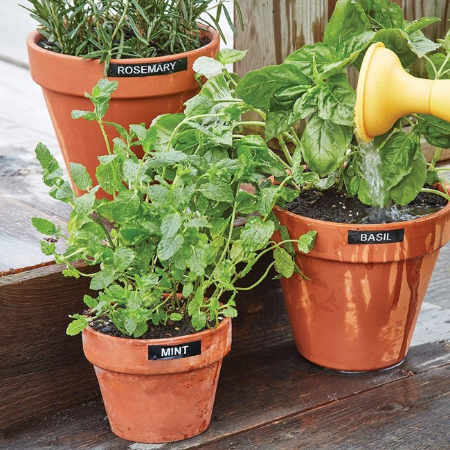 DYMO LabelManager 160 Label Maker Starter Kit with 3 rolls of D1 Label Tape | Handheld Label Printer Machine | QWERTY Keyboard | Ideal for Office or Home