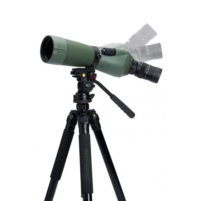 Celestron Regal M2 65ED spotting scope 48x BaK-4 Black, Green