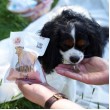 PAKA ZWIERZAKA Lio Pepe Beef Mono - treat for dogs and cats - 60g