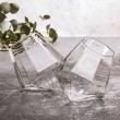 Thumbs Up 2000096 whiskey glass Transparent 2 pc(s) 250 ml