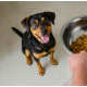 BUTCHER'S Original Beef - dry dog food - 15kg