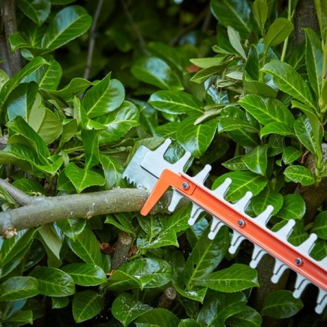 BD HEDGE TRIMMER 650W/60cm/25mm